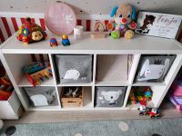 4 Kisten Aufbewahrung Boxen Kallax Kinderzimmer Tiere Niedersachsen - Westoverledingen Vorschau