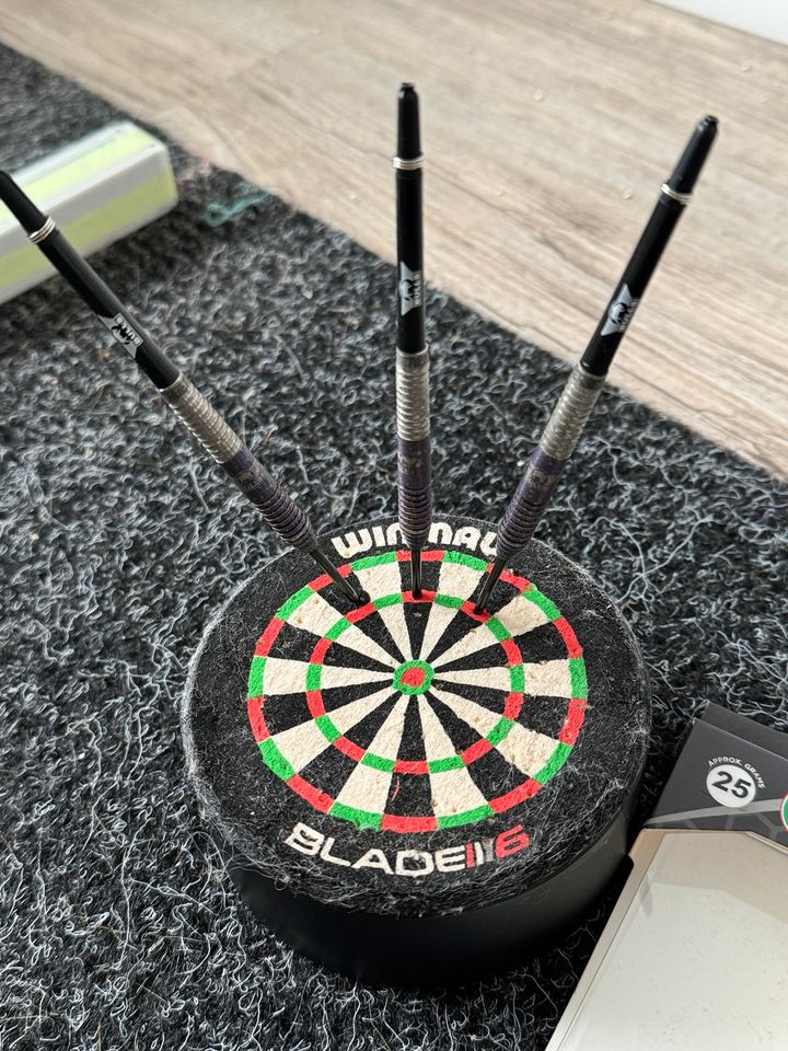 Bulls Darts Van Duijvenbode 25g in Oberhausen