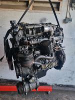 Iveco Daily 3.0 HPI motor F1CE0481 Nordrhein-Westfalen - Kleve Vorschau