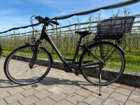 E-Bike | Kalkhoff Jubilee Advance B7 | Bosch Baden-Württemberg - Langenargen Vorschau