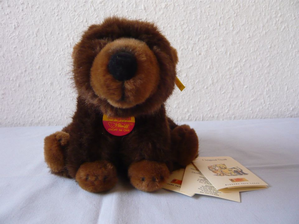 Steiff Baby Braunbär 20 Nr. 69314  wie neu, unbespielt in Östringen