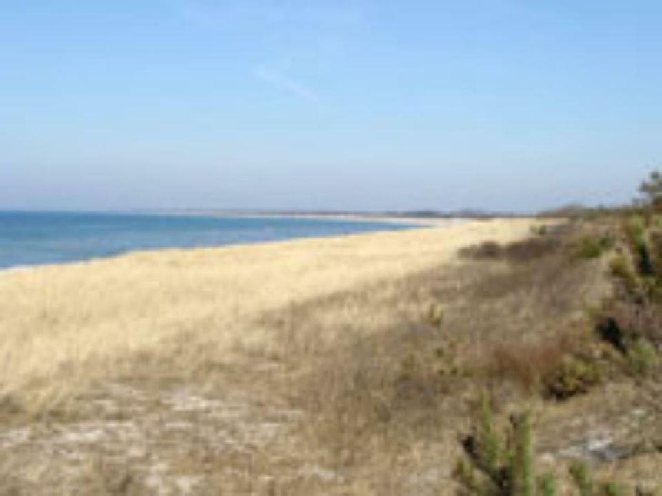 Ferienhaus Ostsee 2 Personen viele Hunde erlaubt Ofen Zaun in Eckernförde