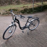 E Bike zu Verkaufen Nordrhein-Westfalen - Detmold Vorschau