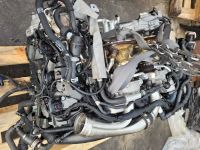 Motor Audi RS4 RS5 2.9 TFSI DEC DECA 450PS Sachsen - Mildenau Vorschau