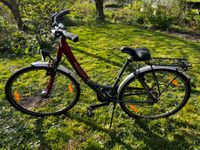 Pegasus Paris Damenfahrrad Nordrhein-Westfalen - Kalkar Vorschau