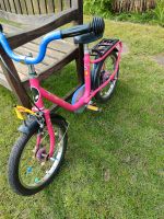 Kinderfahrrad Puky 16 Zoll Schleswig-Holstein - Ahrensburg Vorschau