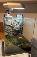 Eheim Aquarium 25x25x30 inkl. Lampe, Unterlage und Pumpe Nordrhein-Westfalen - Gladbeck Vorschau