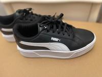 Puma Sneaker Plateau 42 wie neu Steele / Kray - Essen Freisenbruch Vorschau