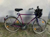 Fahrrad Herren 26zoll Sachsen - Tannenberg Vorschau