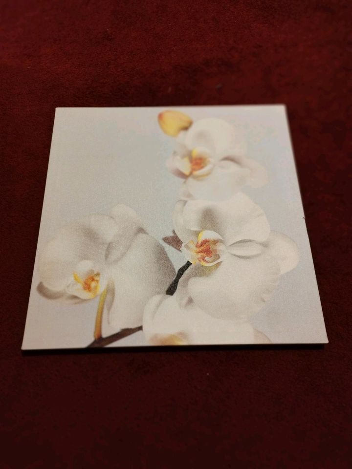3 Orchideen Leinwand Ikea Pjätteryd 56x56 Blumen Bilder in Limburg