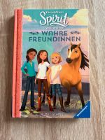 Kinderbücher Spirit Pferde Teil 1+2 Bayern - Neumarkt i.d.OPf. Vorschau
