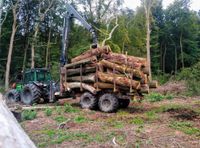 Holzrücken Bayern - Langenfeld Vorschau