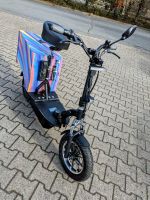 E-Scooter Eneway Revoluzzer Revoluzzi 20, Roller, Leichtmofa Niedersachsen - Bardowick Vorschau