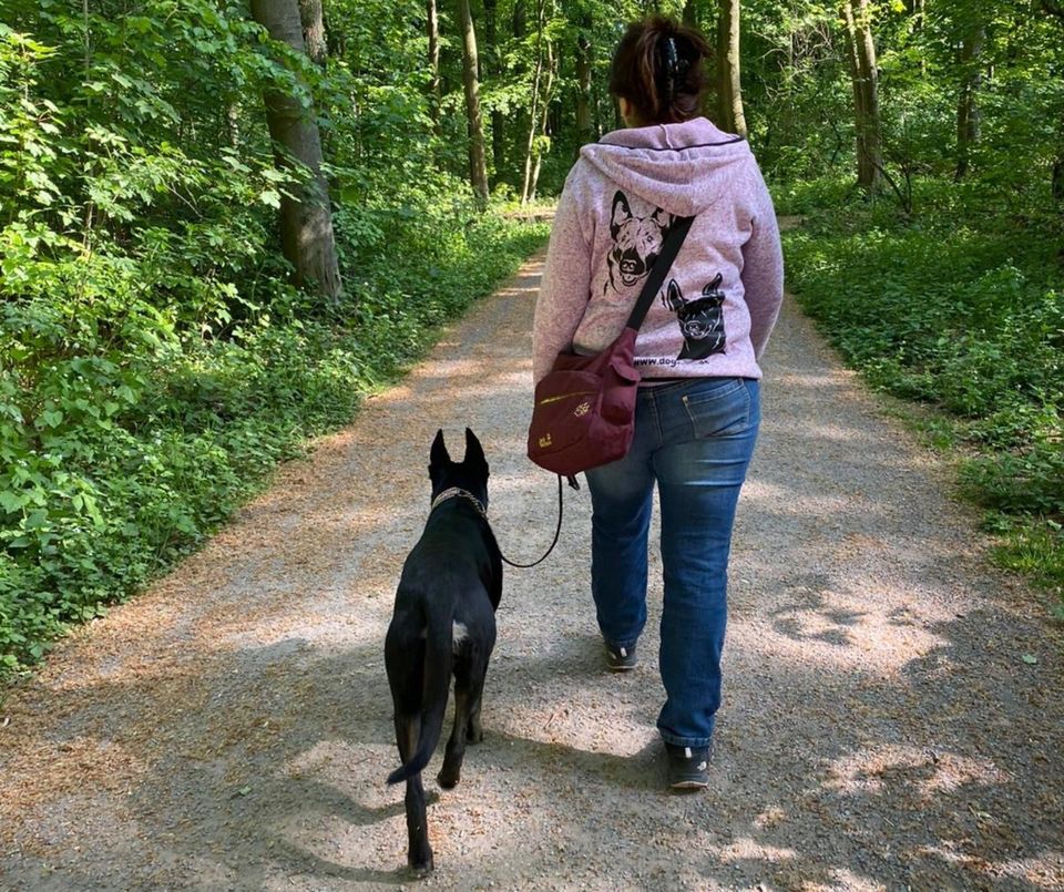 Hundetraining in Duisburg und Umgebung - Erfahrene in Duisburg