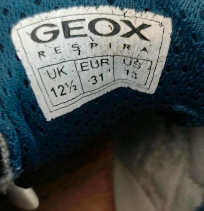 GEOX, Schuhe, Sneakers Größe 31, Wildleder + Textil in Hüttlingen