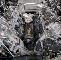 Om642 320 350 CDI Mercedes Motor Ölkühler Steuerkette Reparatur Parchim - Landkreis - Parchim Vorschau