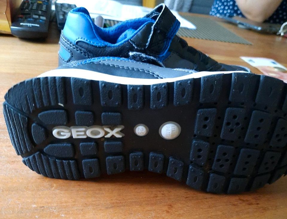 Geox Schuhe Gr. 29 sehr guter Zustand in Floh-Seligenthal