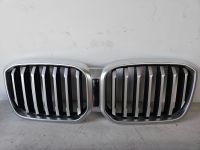 BMW X3 G01 X4 G02 Ziergitter Grill 5A1AC55 Nordrhein-Westfalen - Werne Vorschau