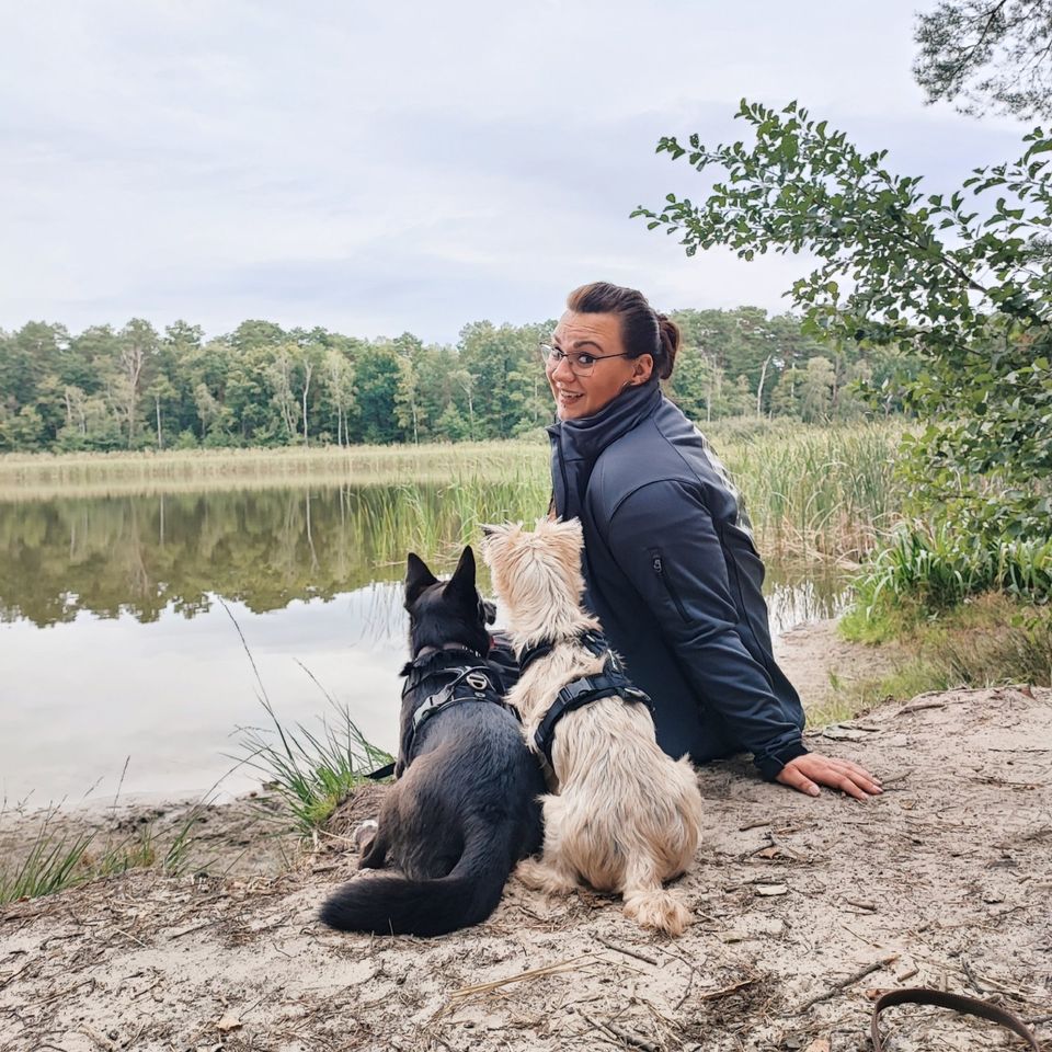 Hundetraining / Hundetrainer in Berlin & Brandenburg in Zeesen