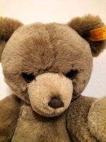 Teddybär Teddy Steiff Petzi ca 30 cm Schleswig-Holstein - Selent Vorschau