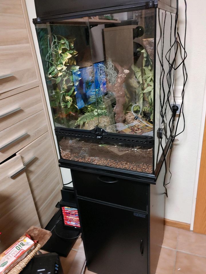 Terrarium mit Unterschrank Exo Terra in Nordrhein-Westfalen - Leverkusen |  eBay Kleinanzeigen ist jetzt Kleinanzeigen