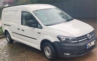 VW Caddy MAXI 2.0 TDI-AHK-1.Hand NFZ 2 Sitzer Nordrhein-Westfalen - Mönchengladbach Vorschau