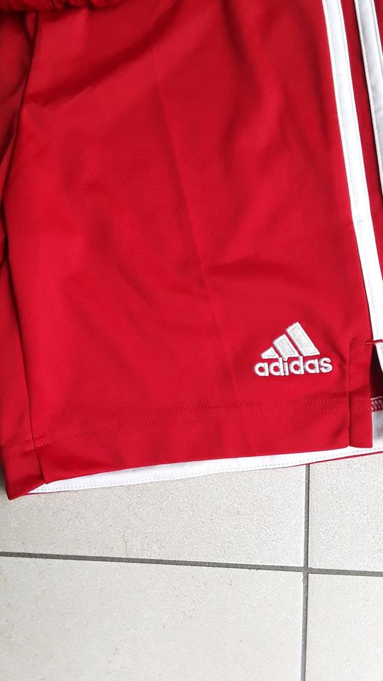 Adidas Bayern München Sporthose Gr. 152 Trikot-Hose super Zustand in Rösrath