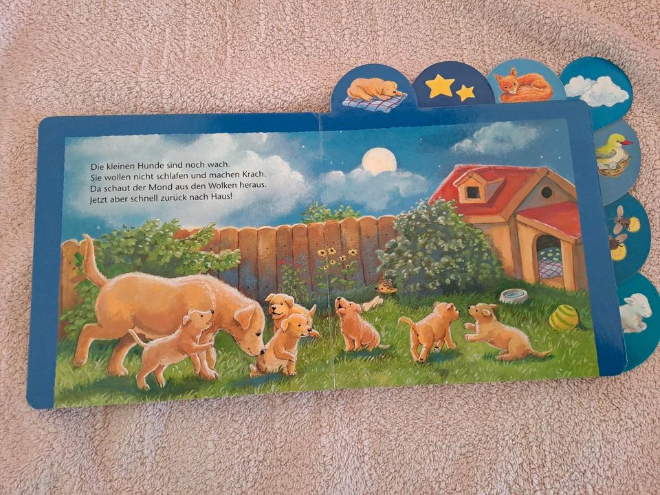 Kinder Buch ministeps Abends, wenn kleine Tiere schlafen gehen in Schorndorf