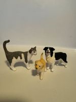 Schleich Haustiere (2 Hunde, 2 Hasen, 1 Katze) Brandenburg - Bernau Vorschau