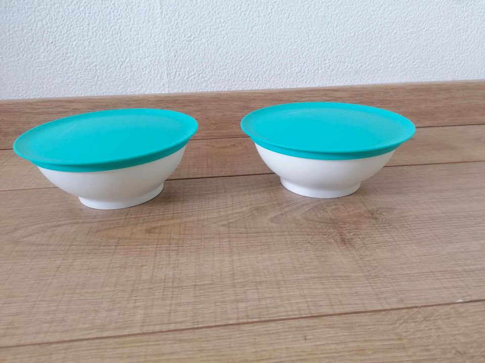 Allegra Schälchen 275 ml neu Tupperware in Herford