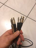 Xlr Klone Stecker 1 Meter lang Bayern - Prichsenstadt Vorschau