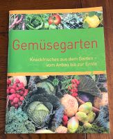 Gemüsegarten - Knackfrisches aus dem Garten vom Anbau - Ernte Kiel - Ellerbek-Wellingdorf Vorschau
