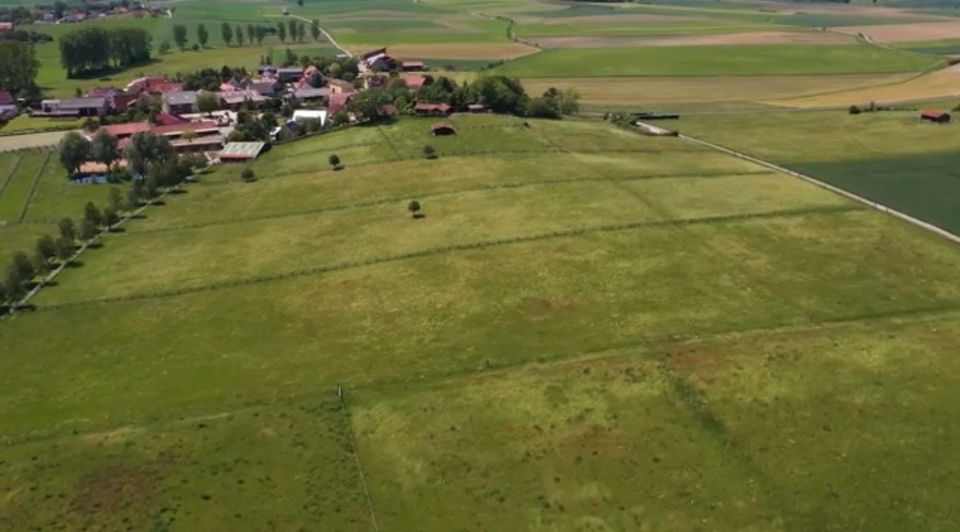 Einstellplatz Allergiker Isländer Wallach in Markt Nordheim