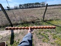 Lampenfuss Holz 70er retro mit Metallführung Brandenburg - Zossen-Neuhof Vorschau