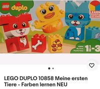 Lego Duplo Schleswig-Holstein - Boostedt Vorschau