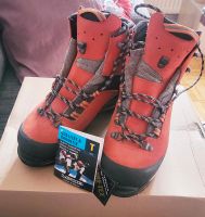 Lowa Bergschuh Mountain Expert GTX LS Thüringen - Eisenach Vorschau