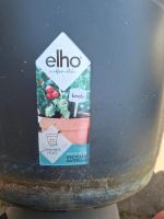 Elho Green basics pflanztopf Blumentopf Tomaten kräuter hochbeet Schleswig-Holstein - Neumünster Vorschau