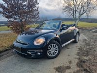 Vw Beetle Cabrio 2.0 TDI, 110PS, Allstar, Bj 2017 Bayern - Hof (Saale) Vorschau