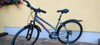 28" Damenrad "Hercules Cheetha" Cross-Trekkingbike Sachsen - Schneeberg Vorschau