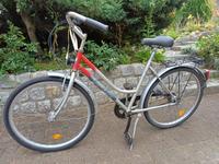 Robustes Fahrrad 26 Zoll 5 Gang !!!! NABENSCHALTUNG Schleswig-Holstein - Nienwohld Vorschau