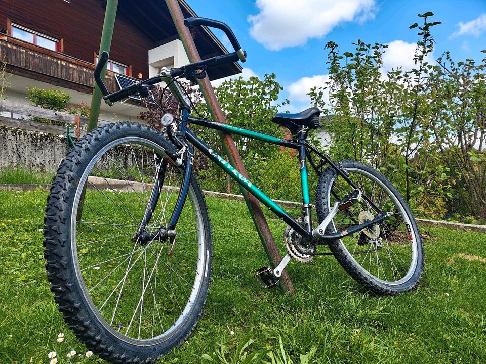 Alpina 5.3 Univega Fahrrad 26 zoll Unisex City (Mountain) Bike in Hauzenberg