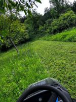 Wiese, Obstwiese, Rasen, Weide, Koppel, Mähen Grünflächenpflege Baden-Württemberg - Wertheim Vorschau