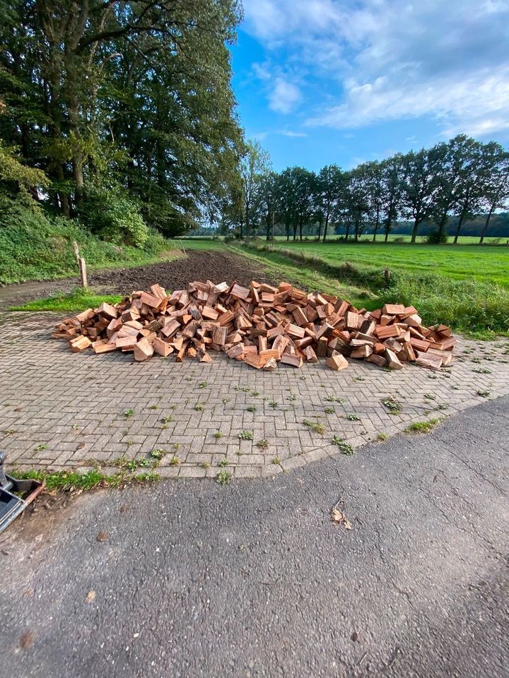 Kaminholz Eiche, Lärche trocken in Rheine