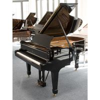 Steinway & Sons Flügel, Modell A-188, alles neu Thüringen - Jena Vorschau