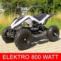 Elektro 800W ATV Kinderquad Pocketquad Miniquad Quad Farbwahl NEU Brandenburg - Cottbus Vorschau