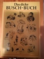 Das dicke Busch-Buch Sachsen - Schneeberg Vorschau