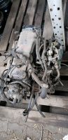 ABVERKAUF Mazda 121 1.3 l Motor siehe Bilder Nordrhein-Westfalen - Ahlen Vorschau