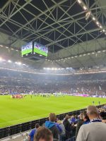 1 Ticket für Schalke vs Rostock abzugeben Nordrhein-Westfalen - Gelsenkirchen Vorschau