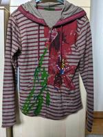 Desigual Sweatjacke Hoodie neuwertig Gr. M Streifen Applikation Nordrhein-Westfalen - Werl Vorschau