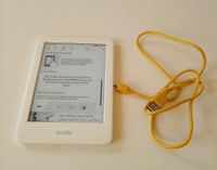 Amazon Kindle eBook Reader 10 Generation 2019 Model J9G29R Schleswig-Holstein - Groß Wittensee Vorschau